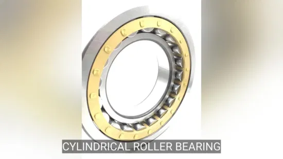 Roller Bearing Tapered Roller Bearing Spherical Roller Bearing Wheel Hub Bearing IKO Mcgill Needle Roller Hiwin Tpi Linear Bearing